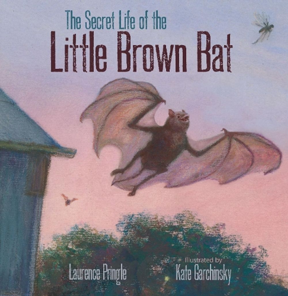 The Secret Life of the Little Brown Bat by Laurence Pringle - ISBN: 9781629796017