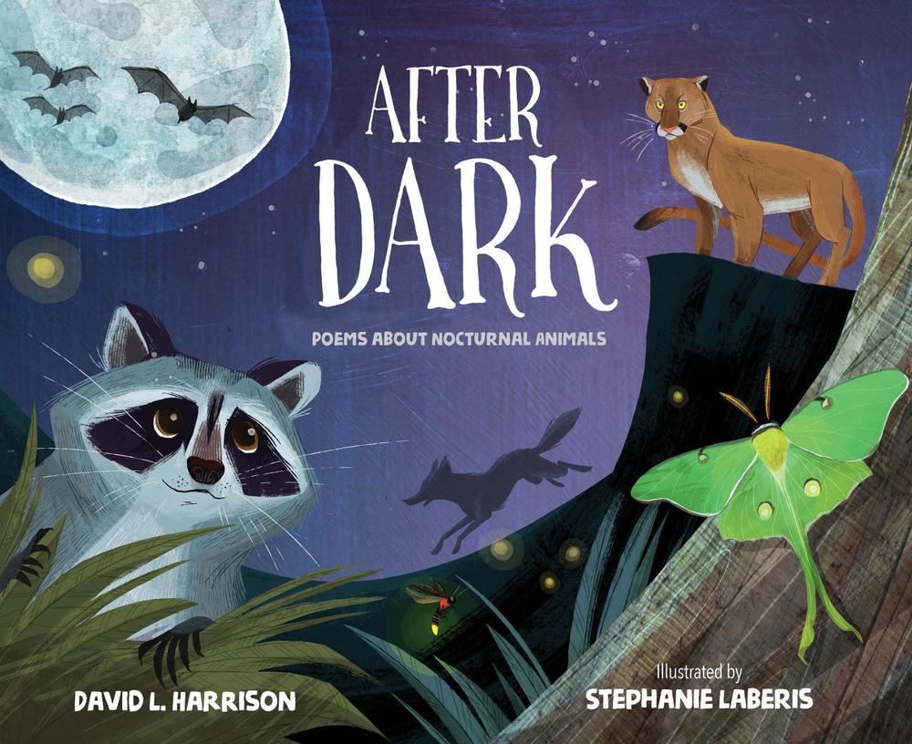 After Dark by David L. Harrison - ISBN: 9781629797175