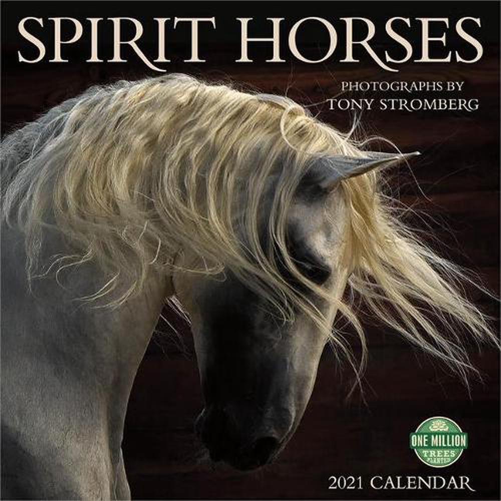 Spirit Horses 2021 Wall Calendar Photographs by Tony Stromberg by Tony