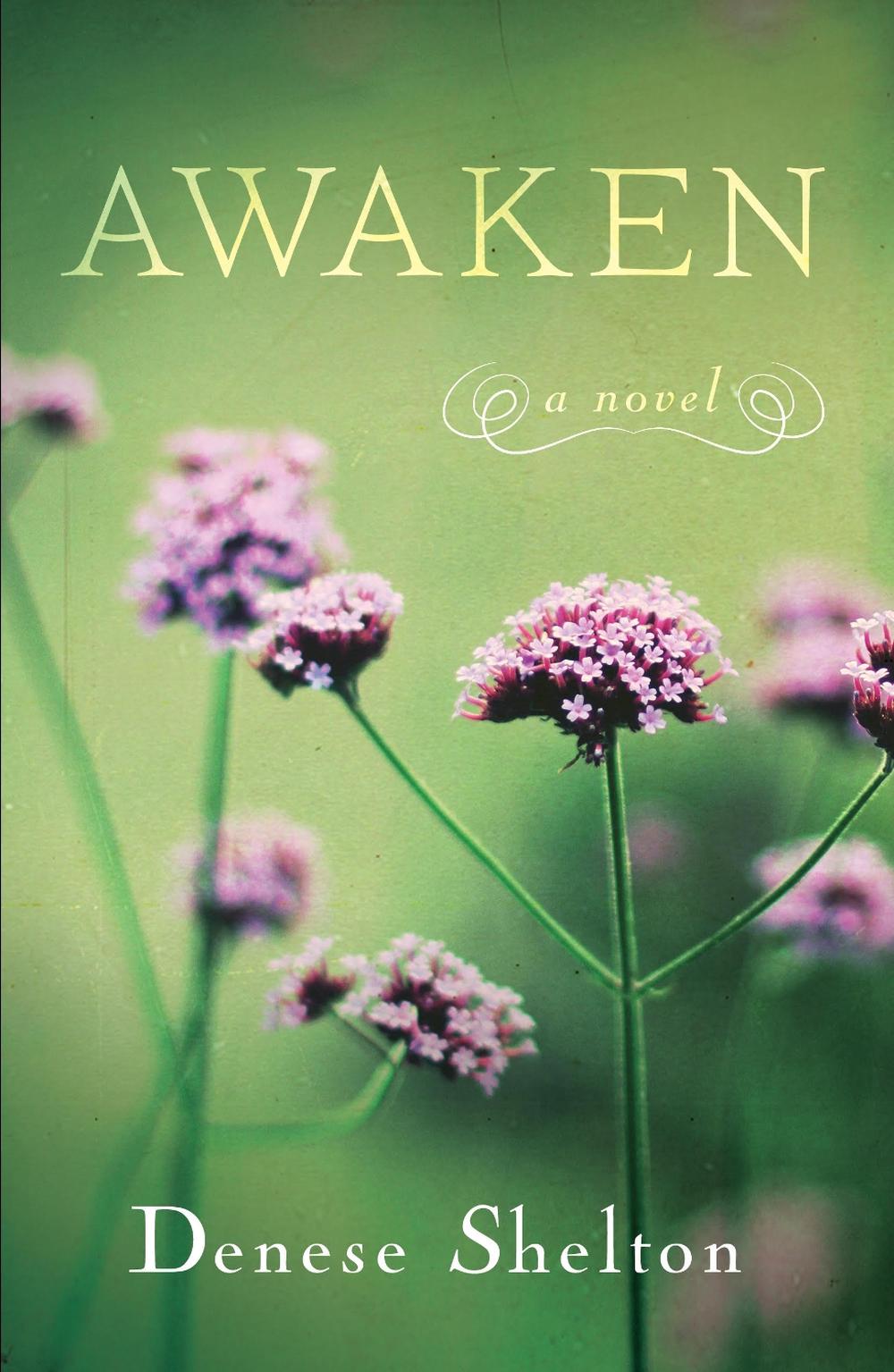 Awaken by Denese Shelton - ISBN: 9781631523632