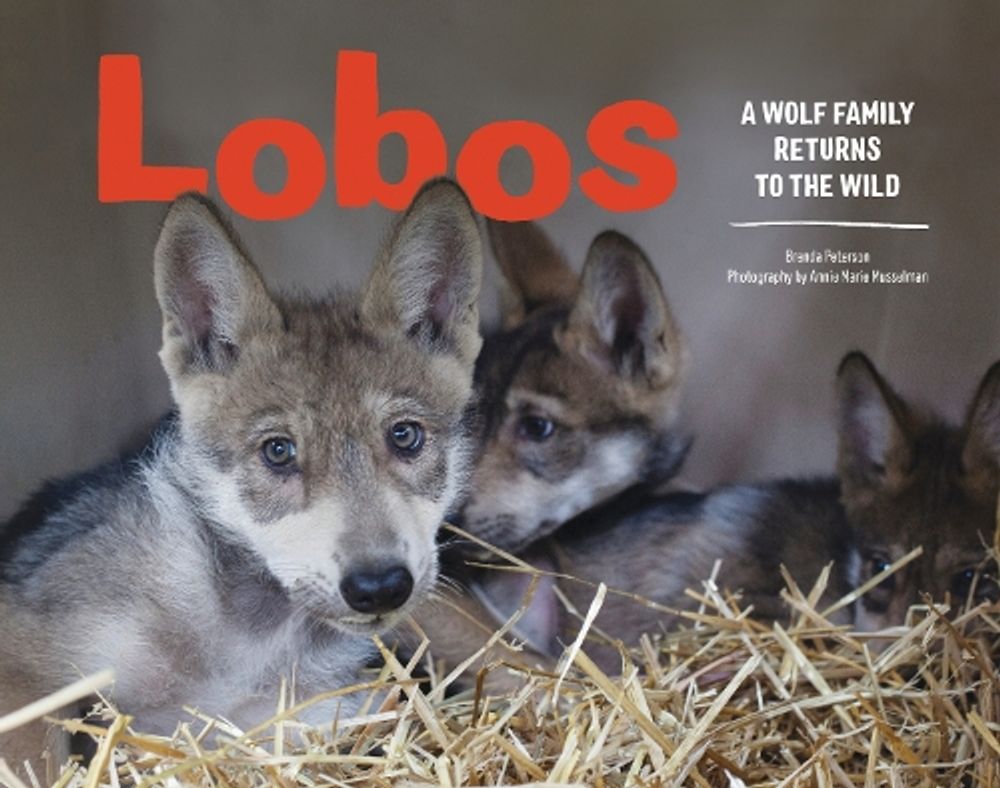 Lobos by Brenda Peterson - ISBN: 9781632170842