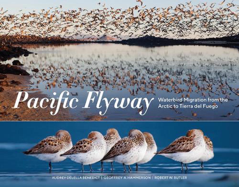 Pacific Flyway by Robert W. Butler - ISBN: 9781632171344