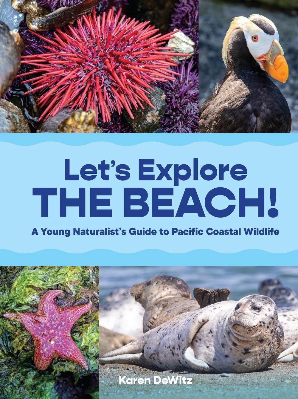 Let’s Explore the Beach! by Karen DeWitz - ISBN: 9781632174420