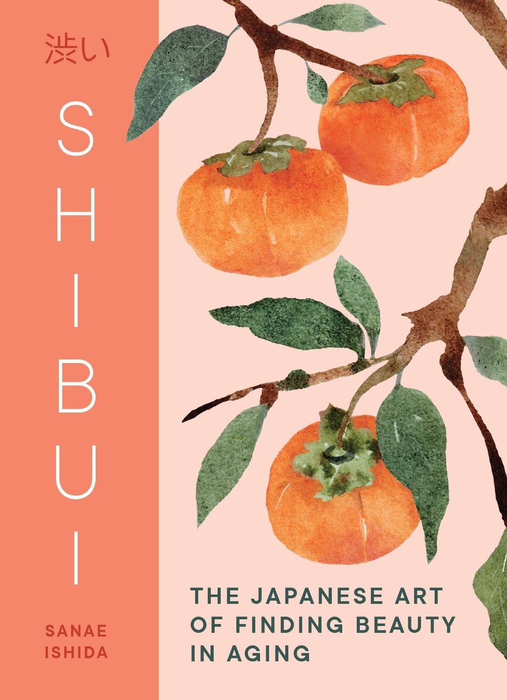 Shibui by Sanae Ishida - ISBN: 9781632175755