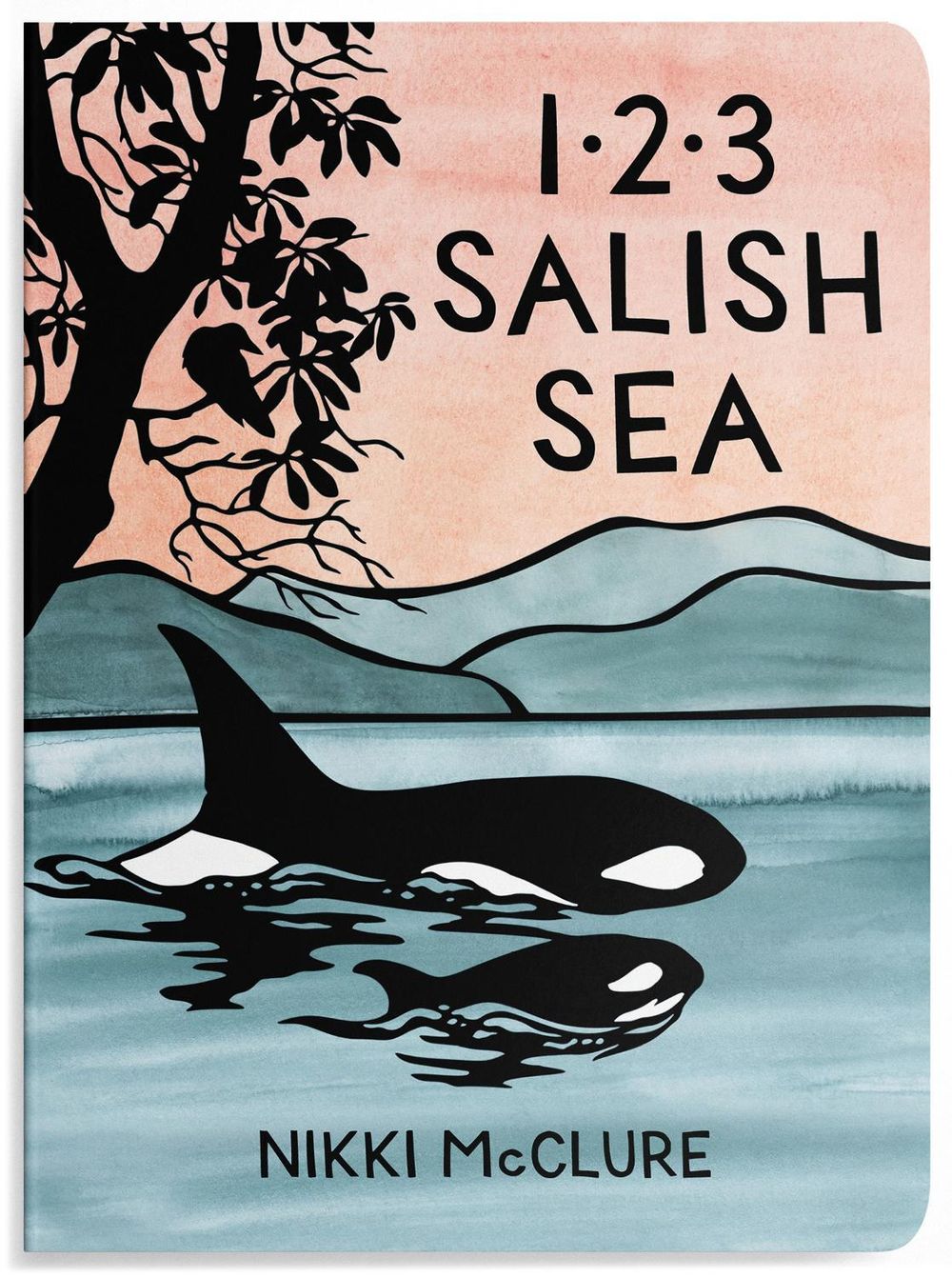 1, 2, 3 Salish Sea by Nikki Mcclure - ISBN: 9781632176714