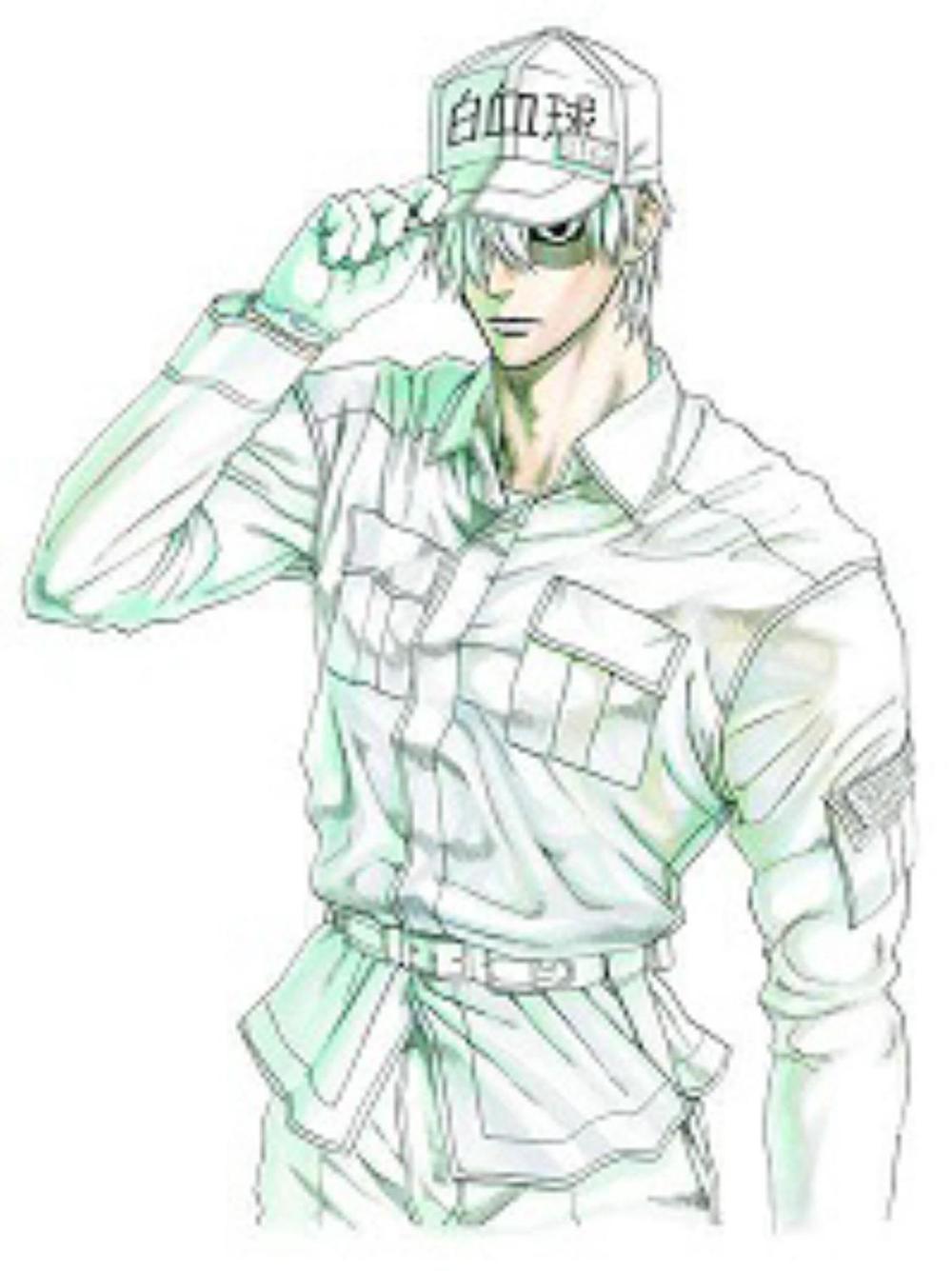 Cells At Work! 6 by Akane Shimizu - ISBN: 9781632364272