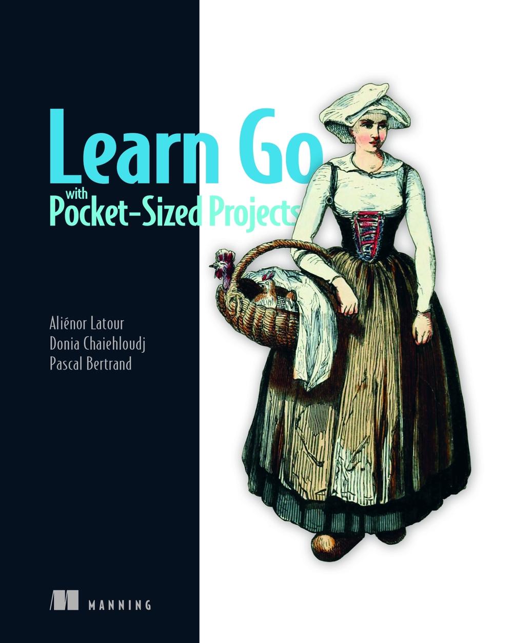 Learn Go with Pocket-Sized Projects, 9781633438804