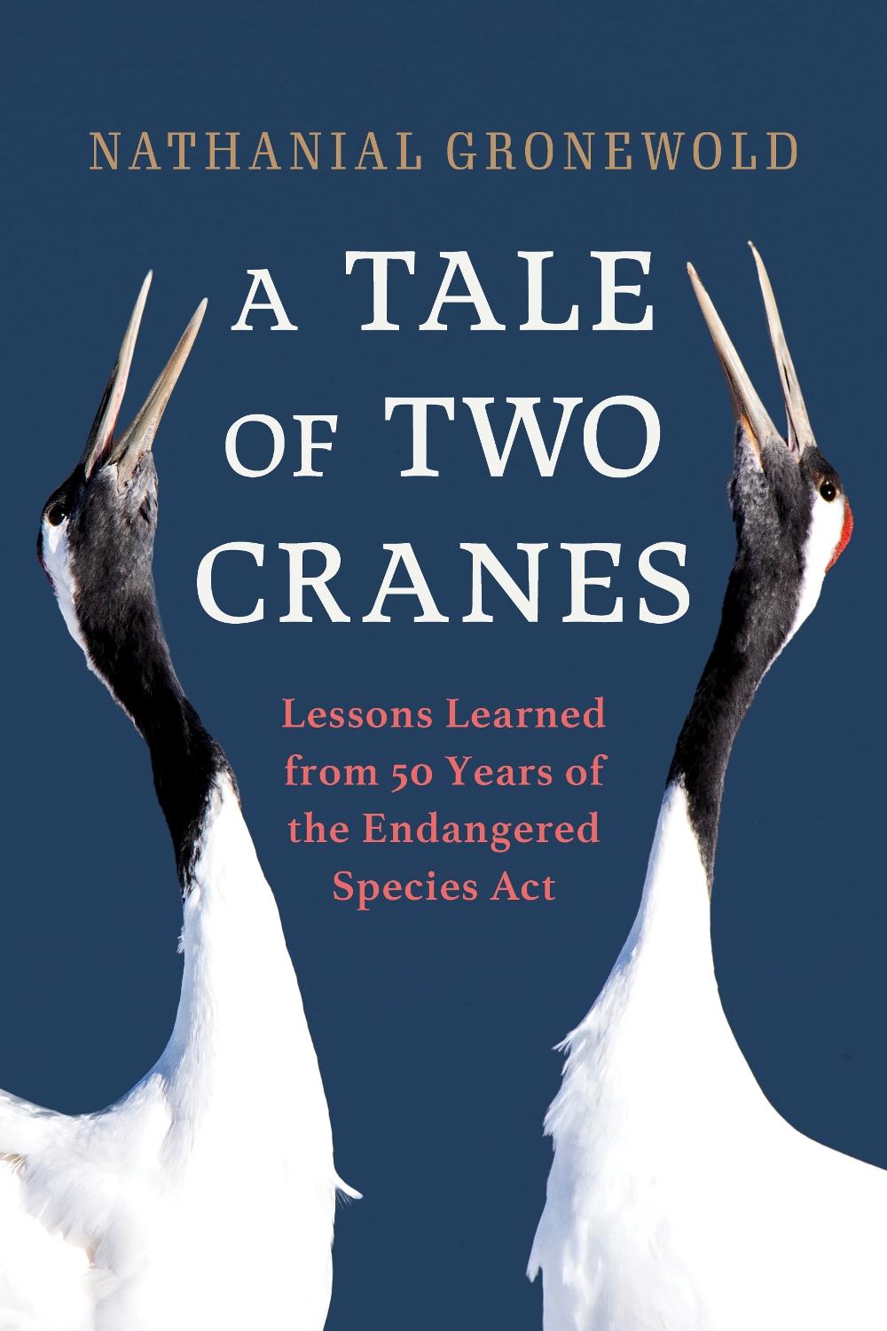 A Tale of Two Cranes, 9781633887626