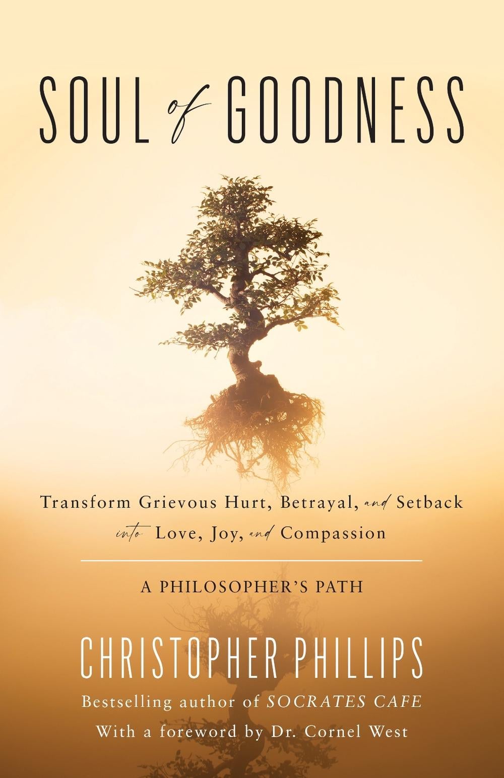 Soul of Goodness by Christopher Phillips - ISBN: 9781633887886