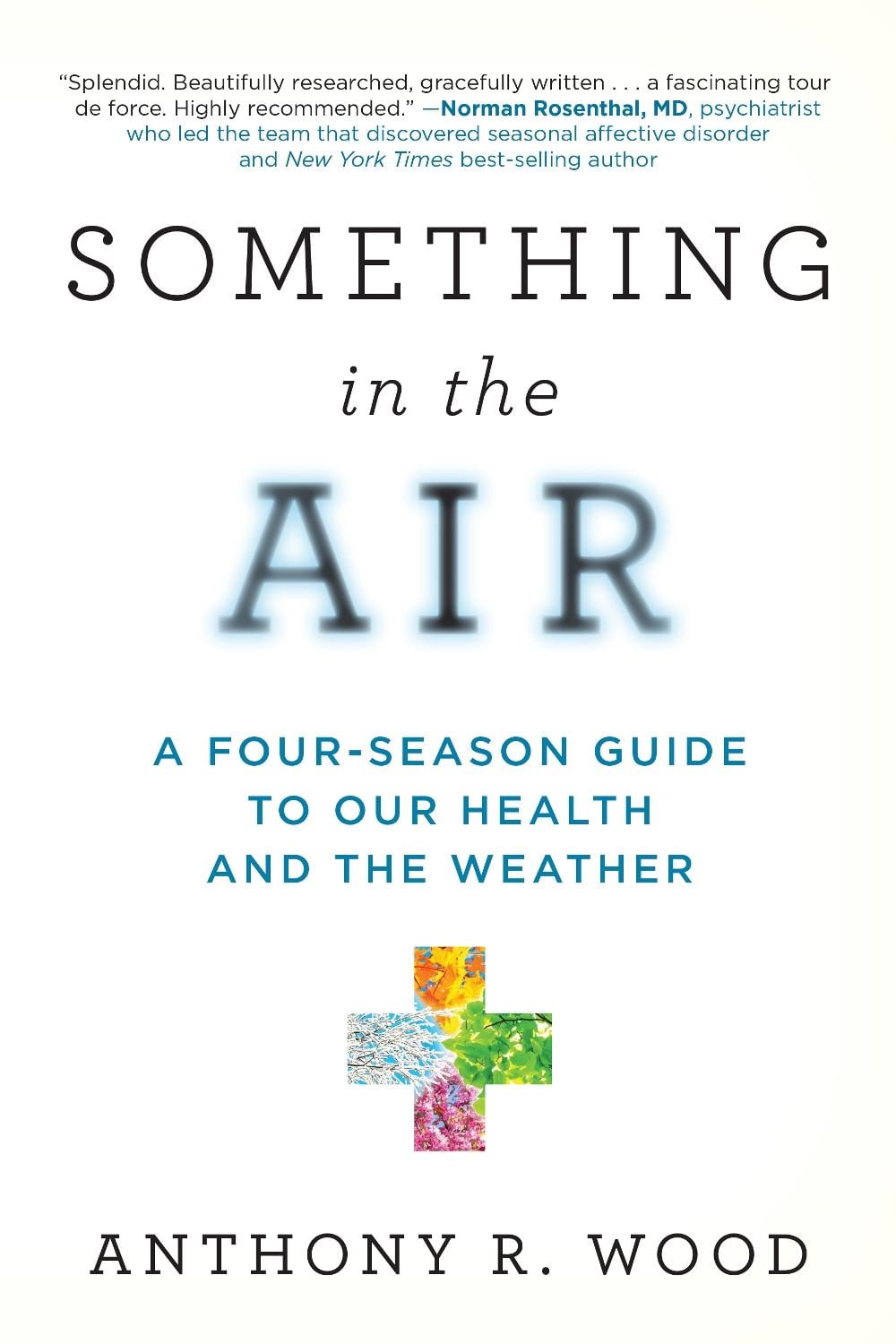 Something in the Air by Anthony R. Wood - ISBN: 9781633889965