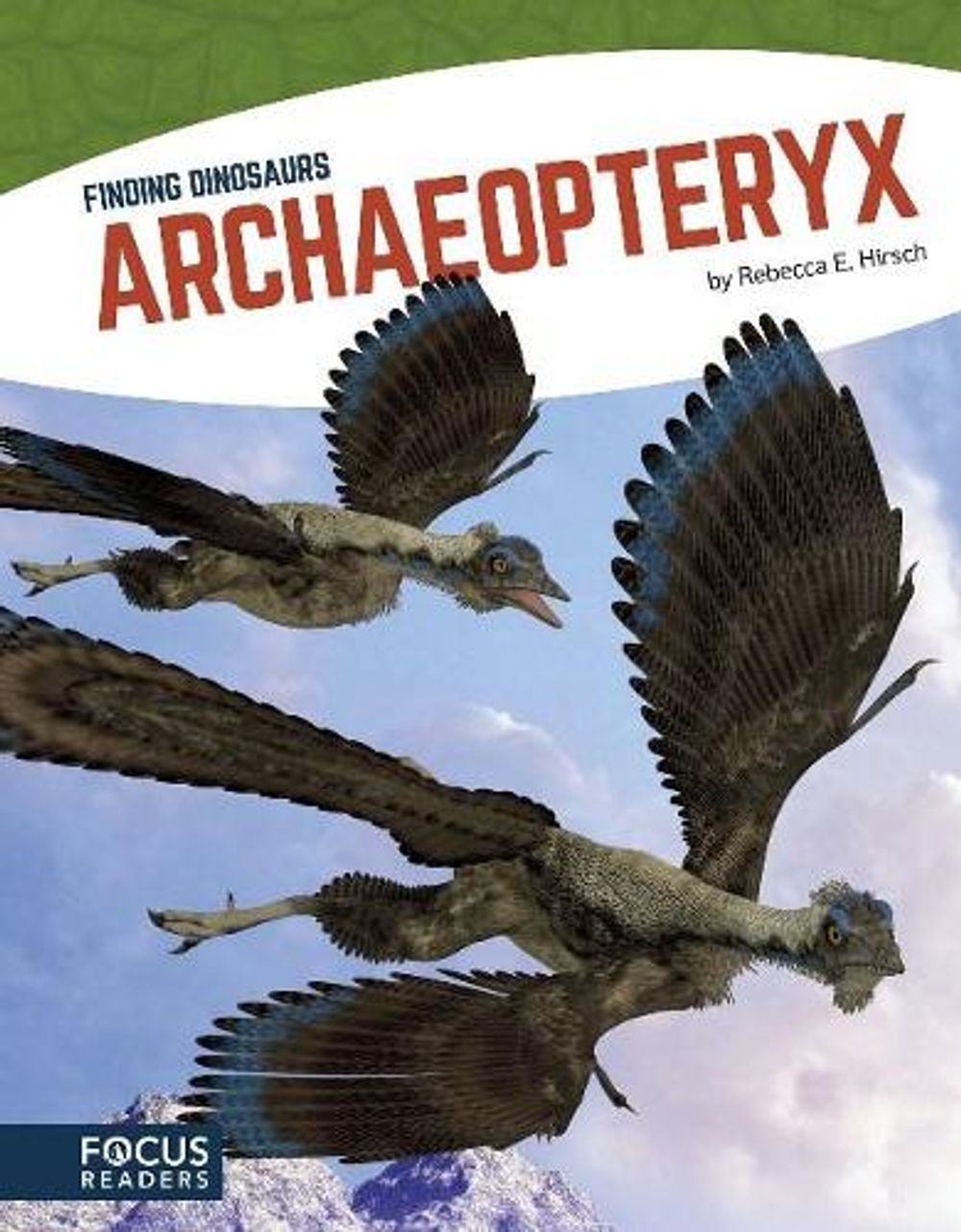 Archaeopteryx by Rebecca E. Hirsch - ISBN: 9781635175745