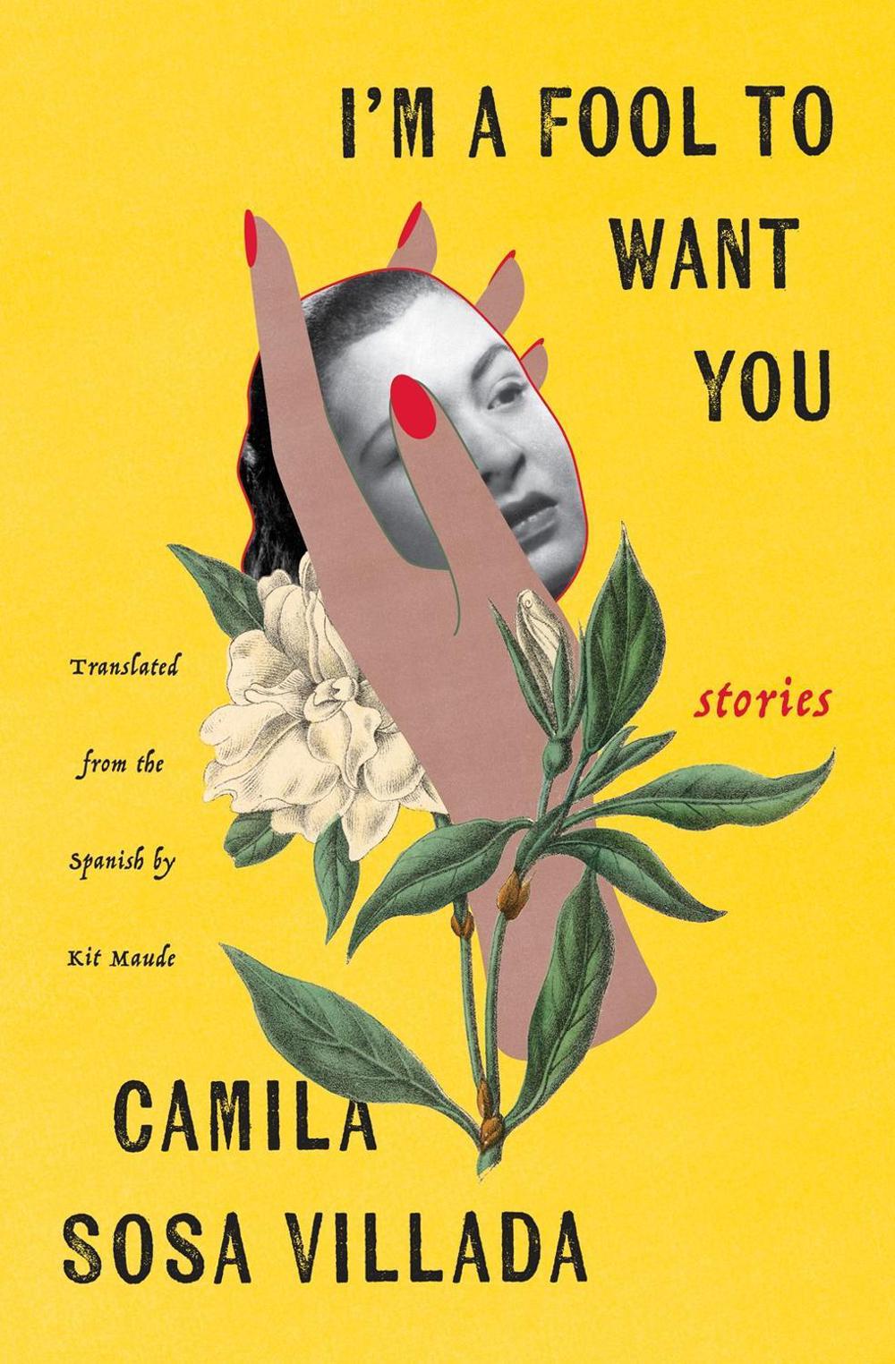 I'm a Fool to Want You by Kit Maude - ISBN: 9781635423853