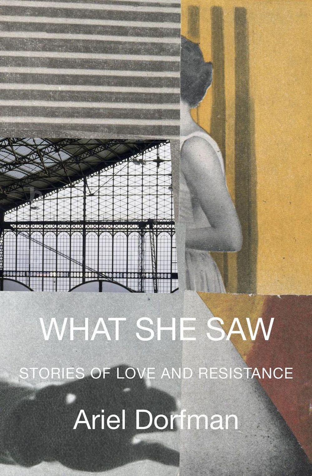 What She Saw by Ariel Dorfman - ISBN: 9781635426205