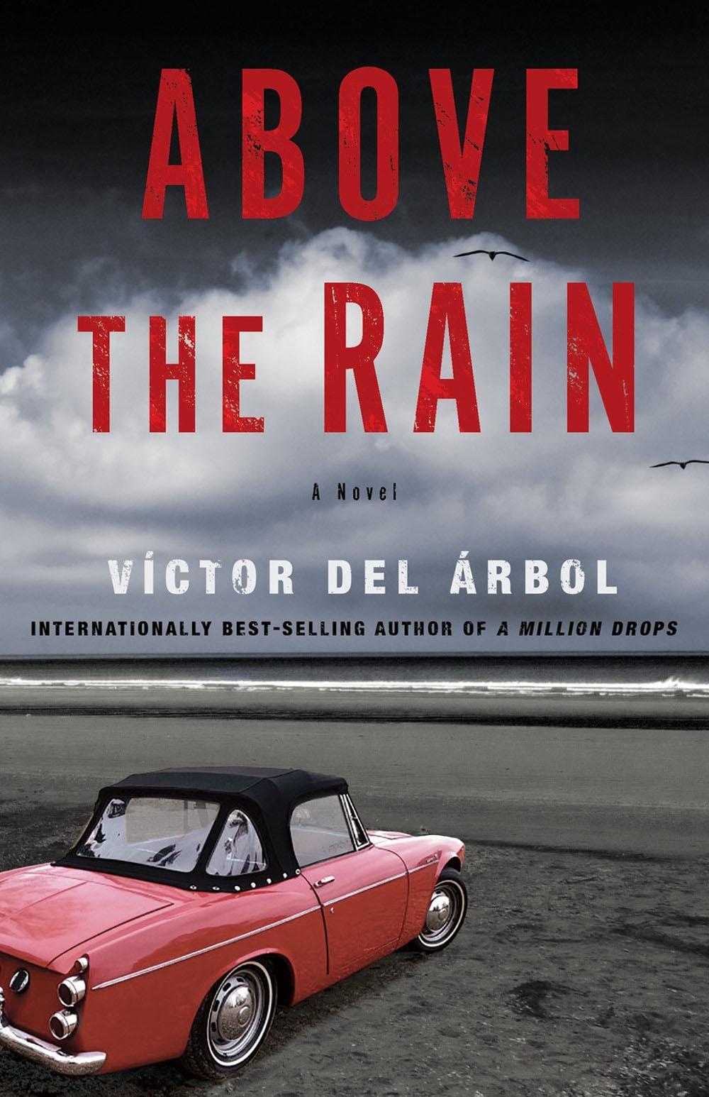 Above the Rain by Lisa Dillman - ISBN: 9781635429954