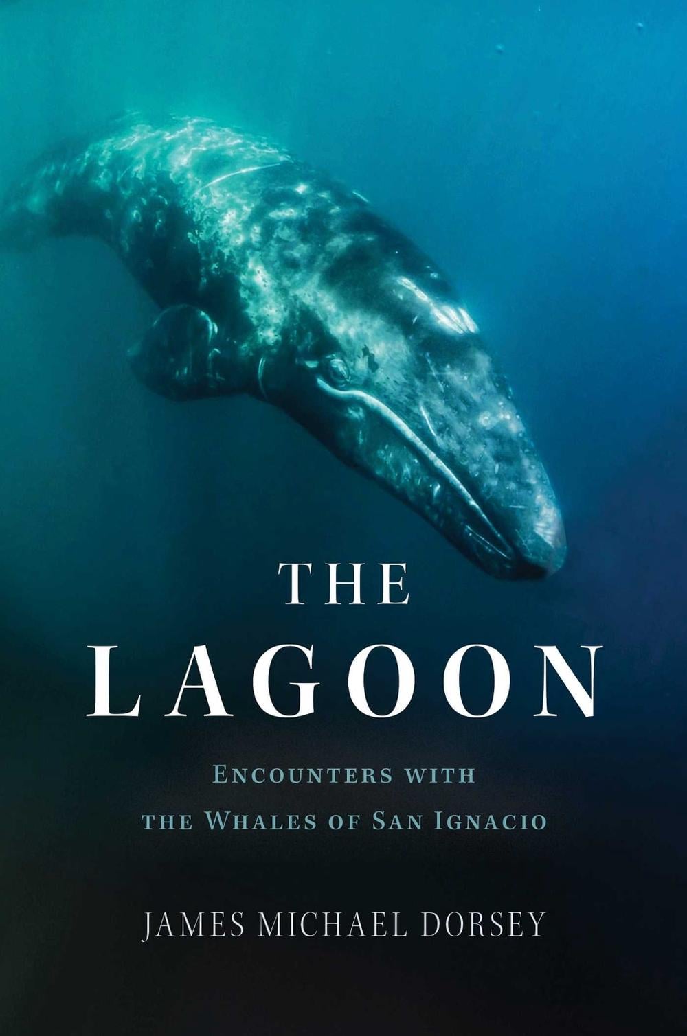 The Lagoon by James Michael Dorsey - ISBN: 9781635768428