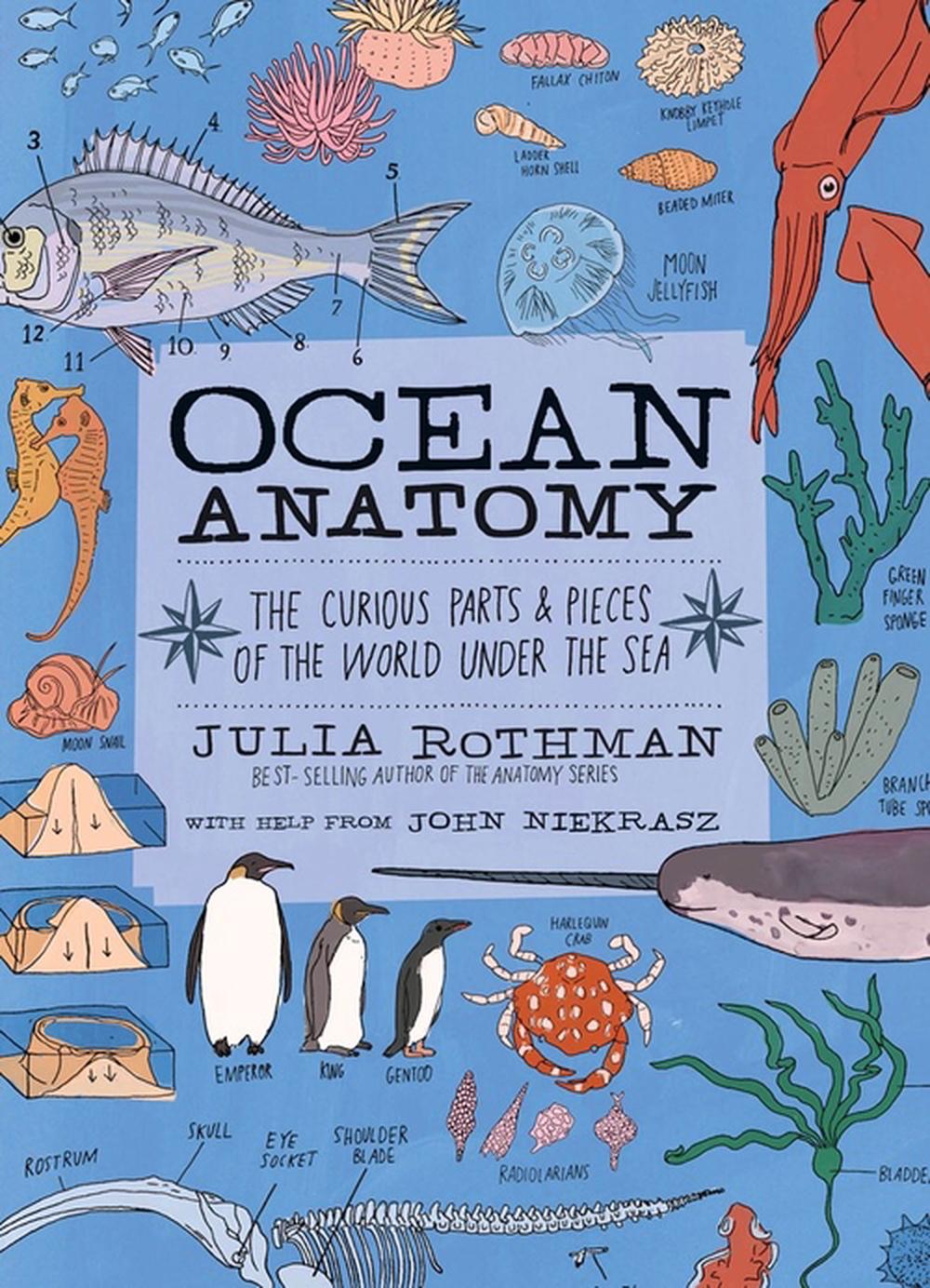 Ocean Anatomy, 9781635861600