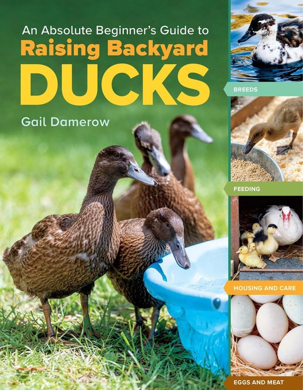An Absolute Beginner's Guide to Raising Backyard Ducks, 9781635865295