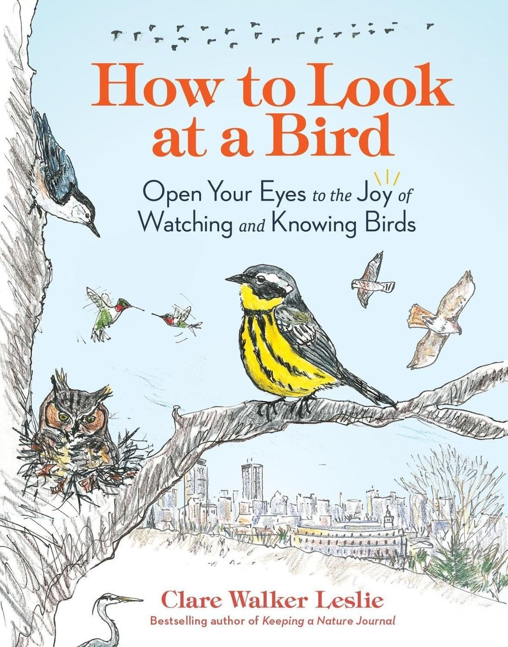 How to Look at a Bird by Clare Walker Leslie - ISBN: 9781635866490