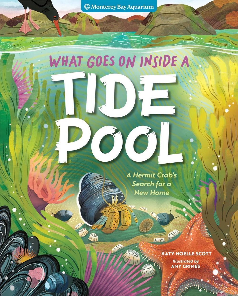 What Goes On Inside a Tide Pool by Monterey Bay Aquarium - ISBN: 9781635867770
