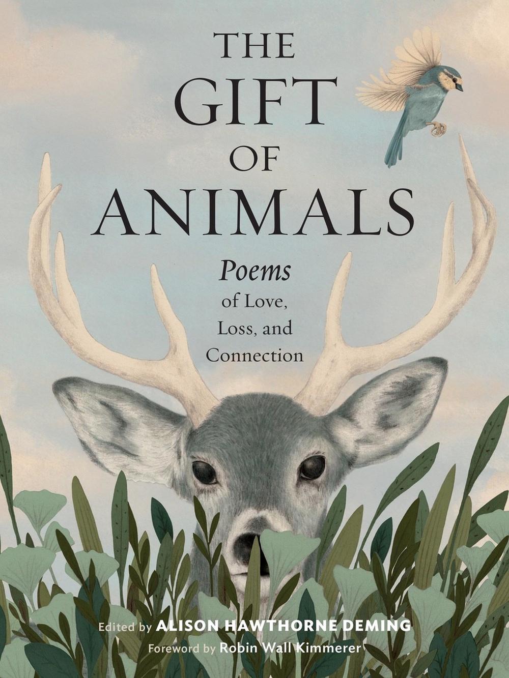 The Gift of Animals, 9781635868562