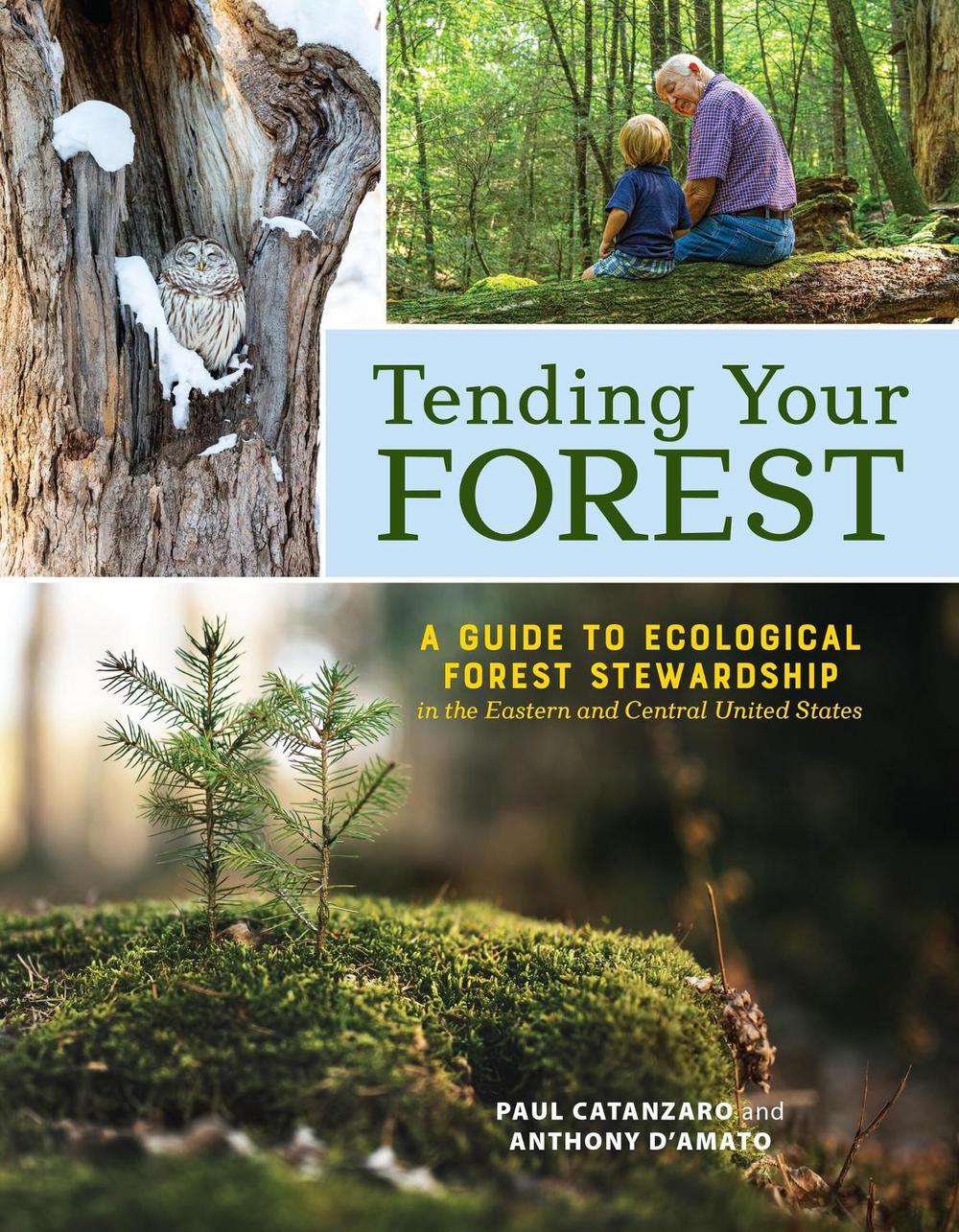 Tending Your Forest by Anthony D'Amato - ISBN: 9781635868586