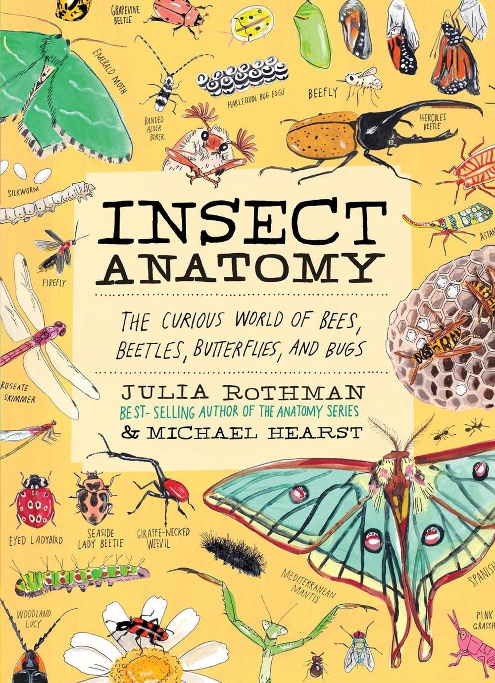Insect Anatomy, 9781635868784
