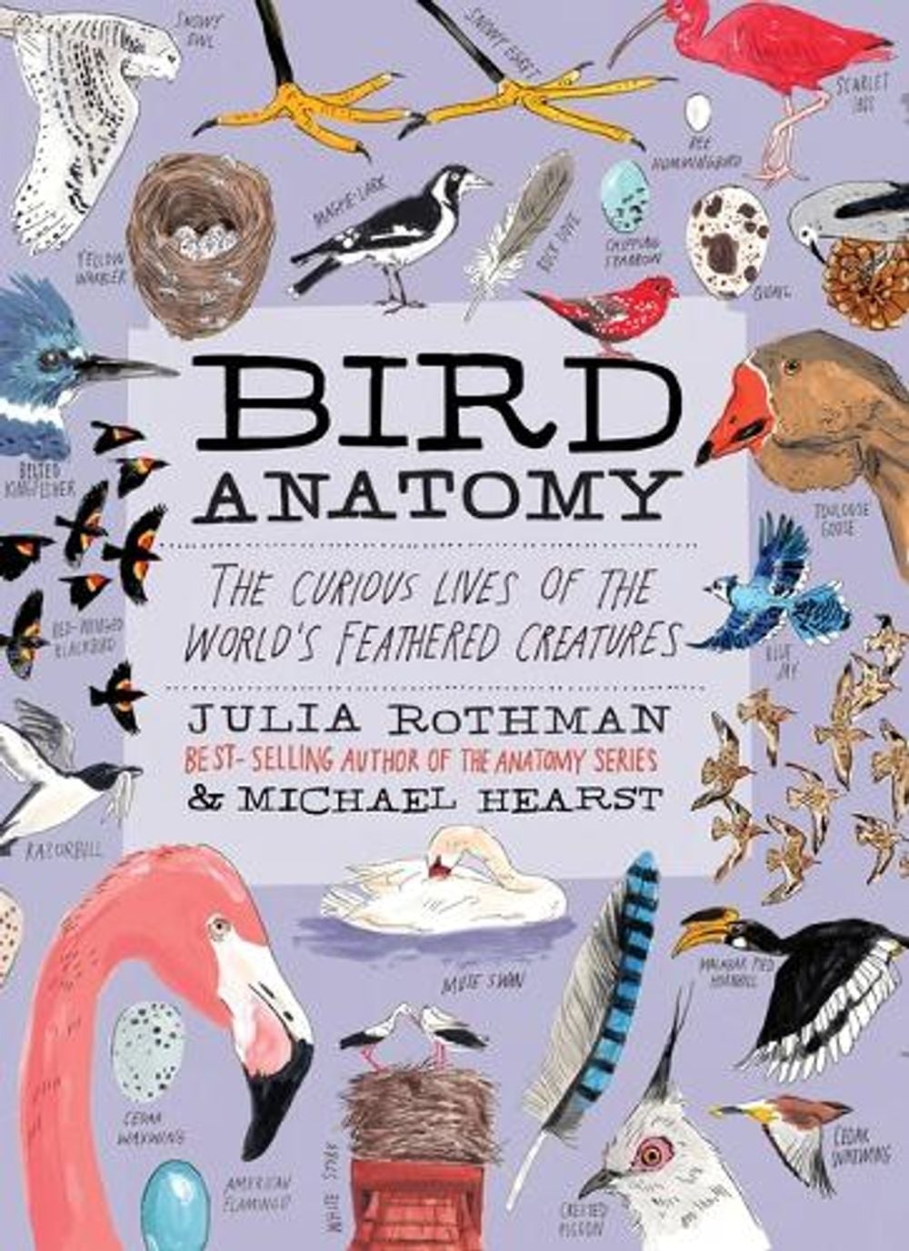 Bird Anatomy by Julia Rothman - ISBN: 9781635869781