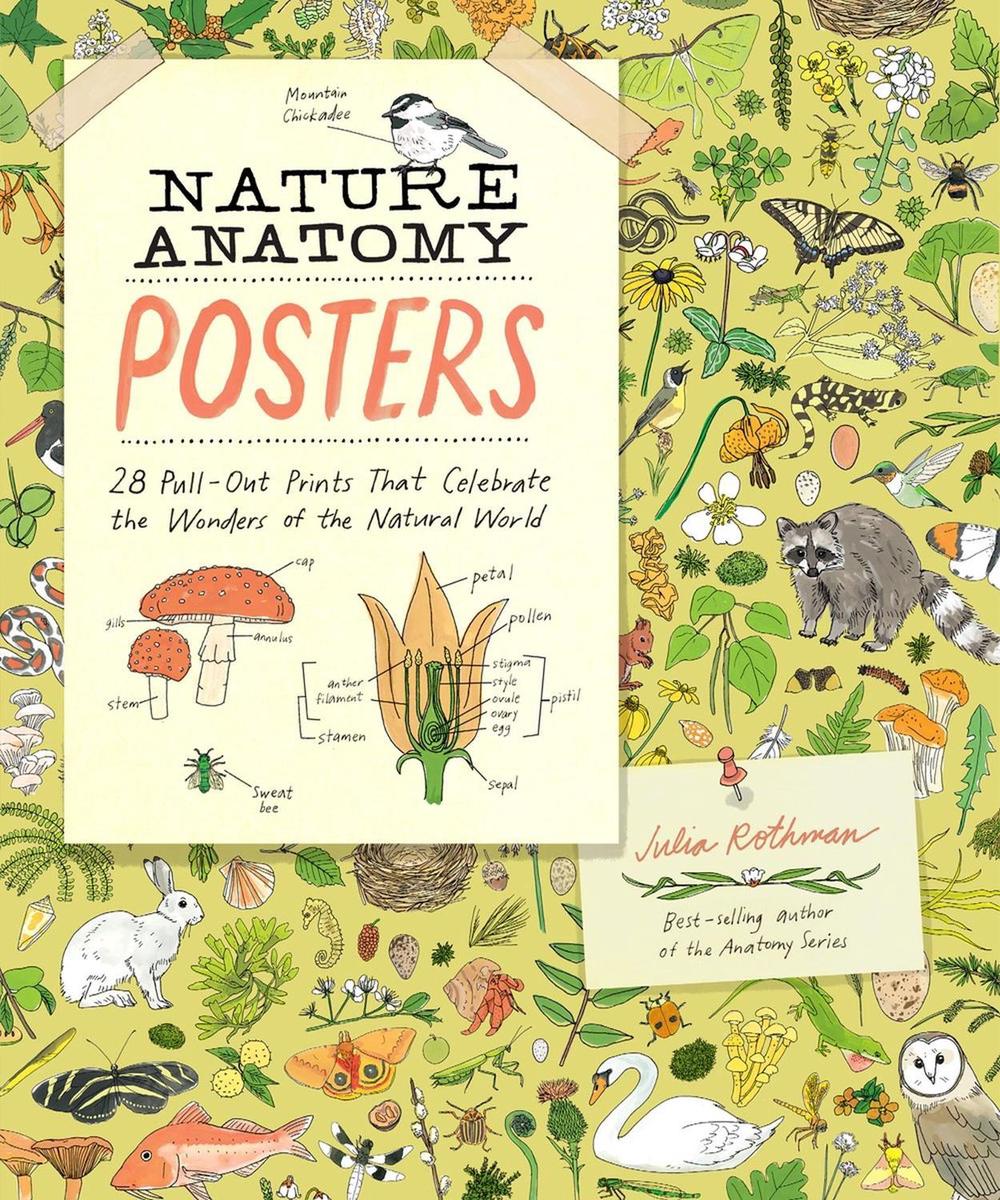 Nature Anatomy Posters, 9781635869934