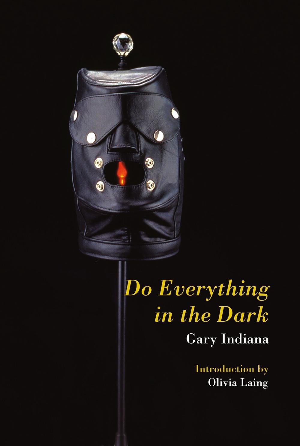 Do Everything in the Dark by Gary Indiana - ISBN: 9781635901863