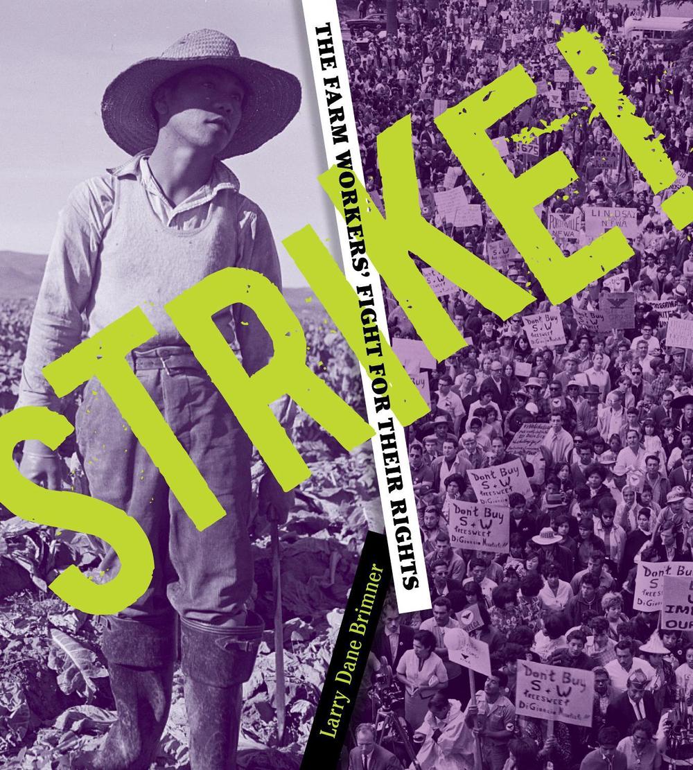 Strike! by Larry Dane Brimner - ISBN: 9781635928334