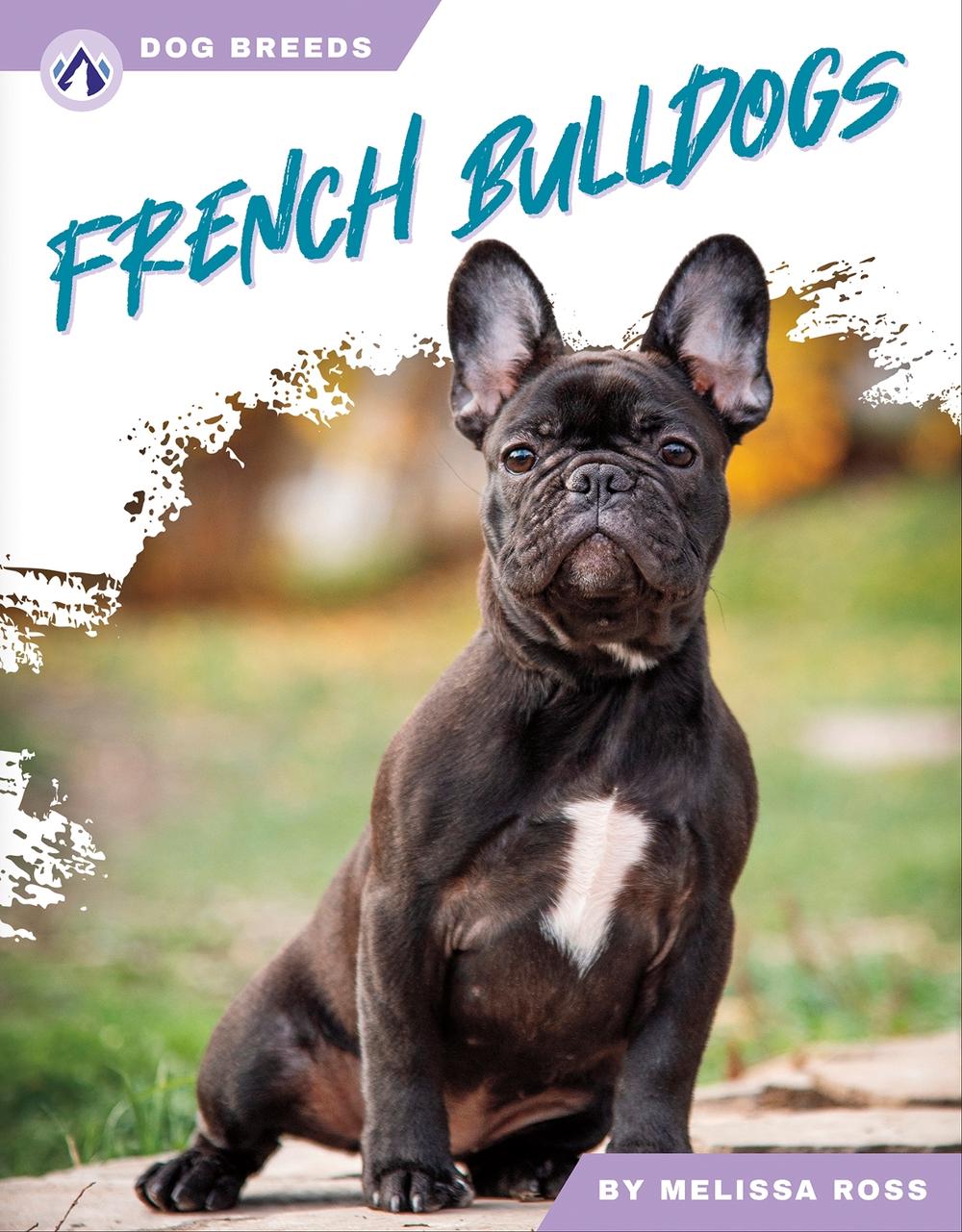 French Bulldogs by Melissa Ross, Hardcover, 9781637389089 Buy