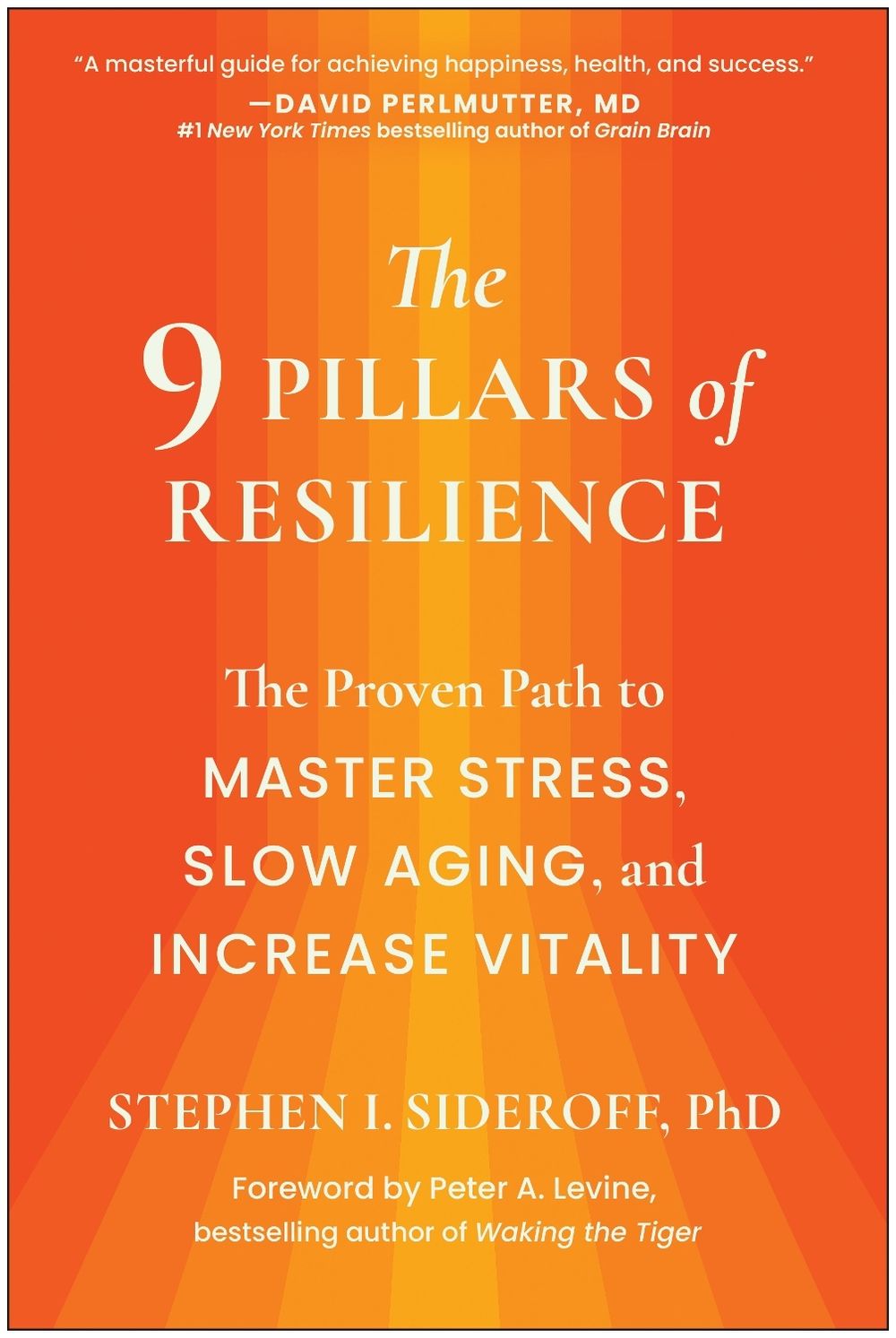 The 9 Pillars of Resilience by Stephen I. Sideroff - ISBN: 9781637745557