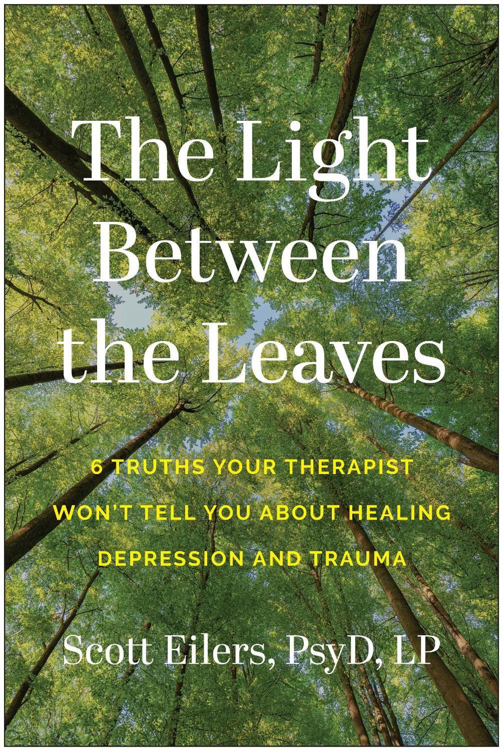 The Light Between the Leaves by Scott Eilers - ISBN: 9781637748282