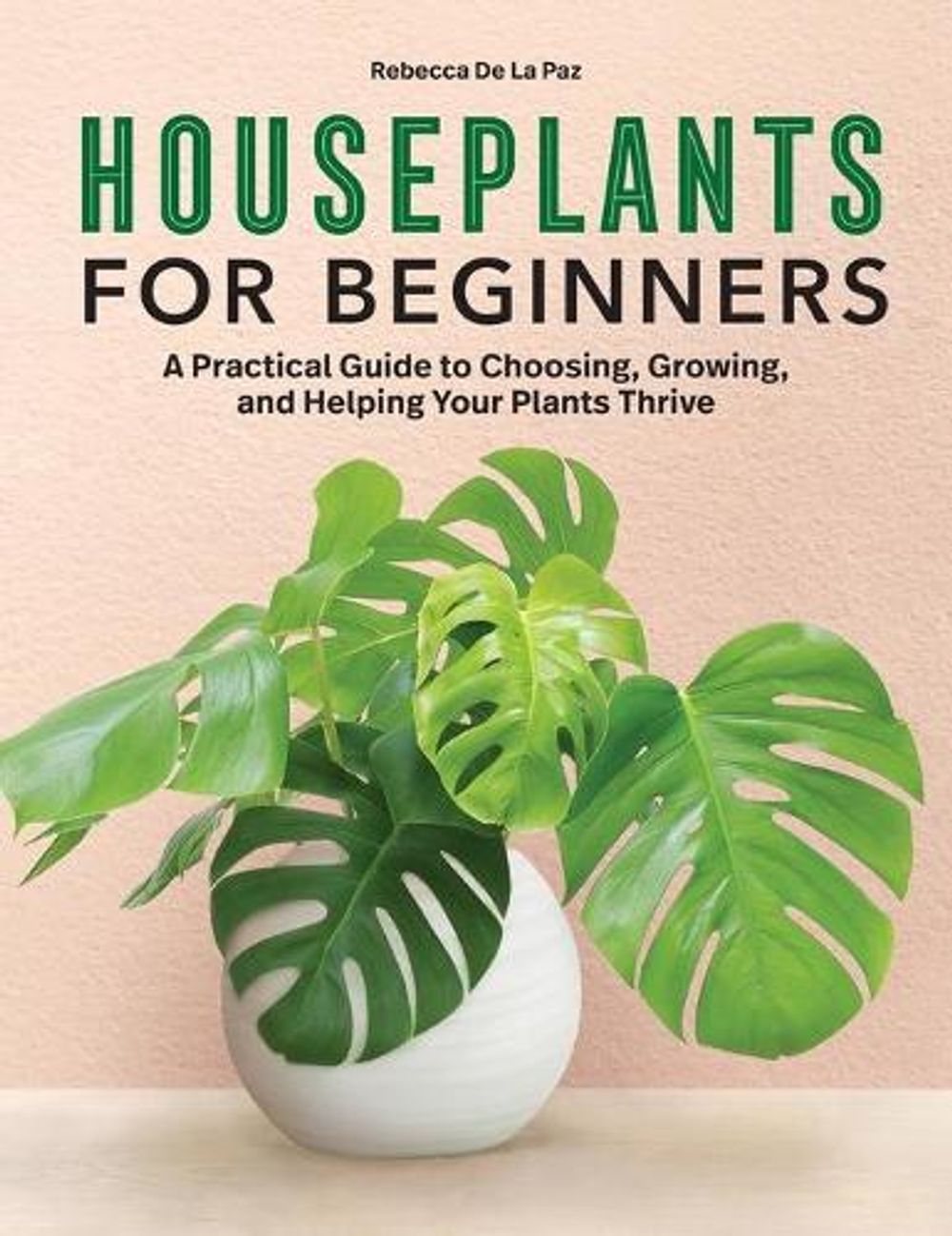 Houseplants for Beginners by Rebecca De La Paz - ISBN: 9781638784135