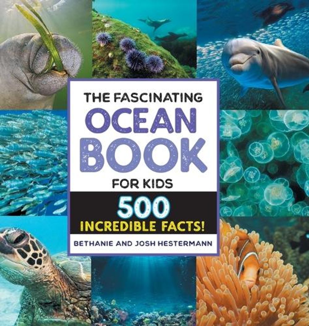 The Fascinating Ocean Book for Kids by Bethanie Hestermann - ISBN: 9781638786450