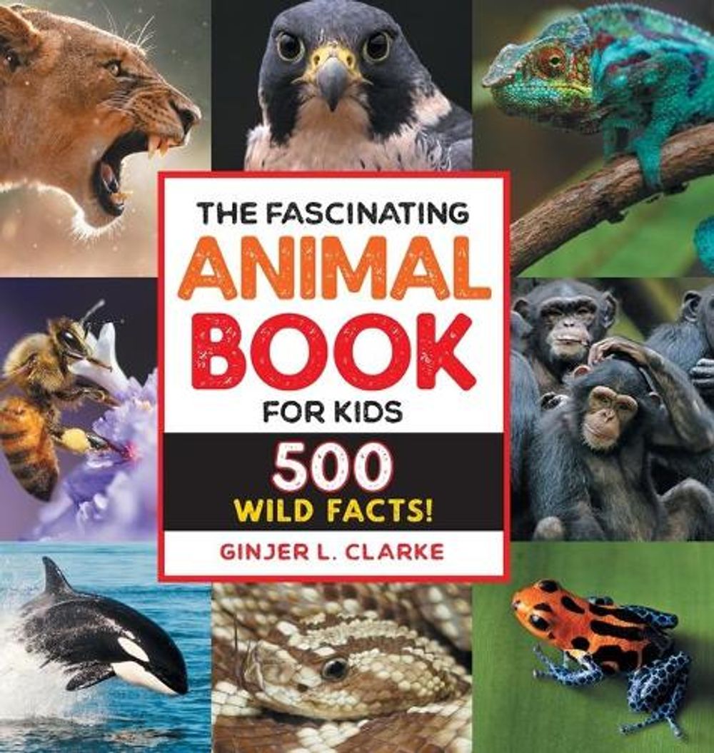 The Fascinating Animal Book for Kids by Ginjer Clarke - ISBN: 9781638788287