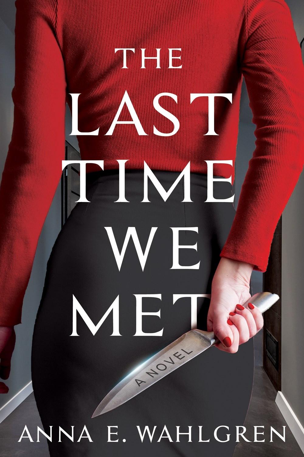 The Last Time We Met by Anna E. Wahlgren - ISBN: 9781639105342