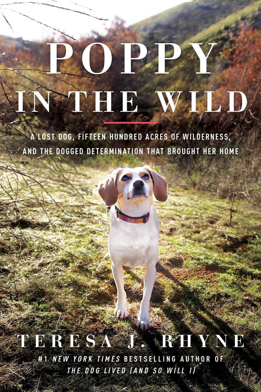 Poppy in the Wild by Teresa J. Rhyne - ISBN: 9781639362059