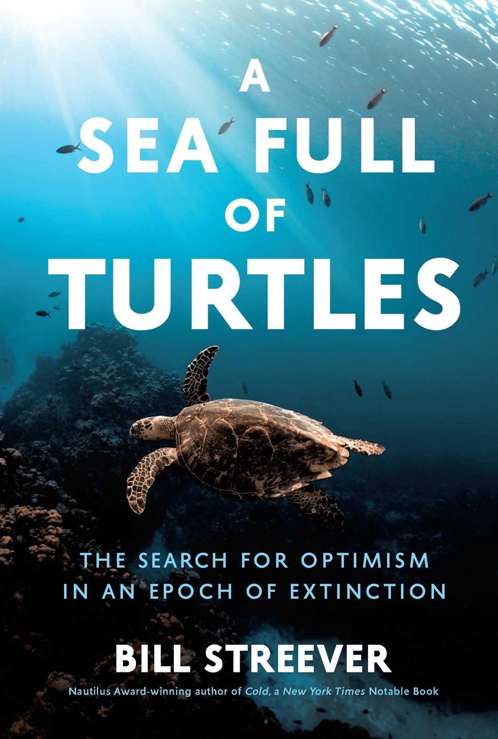A Sea Full of Turtles by Bill Streever - ISBN: 9781639366699