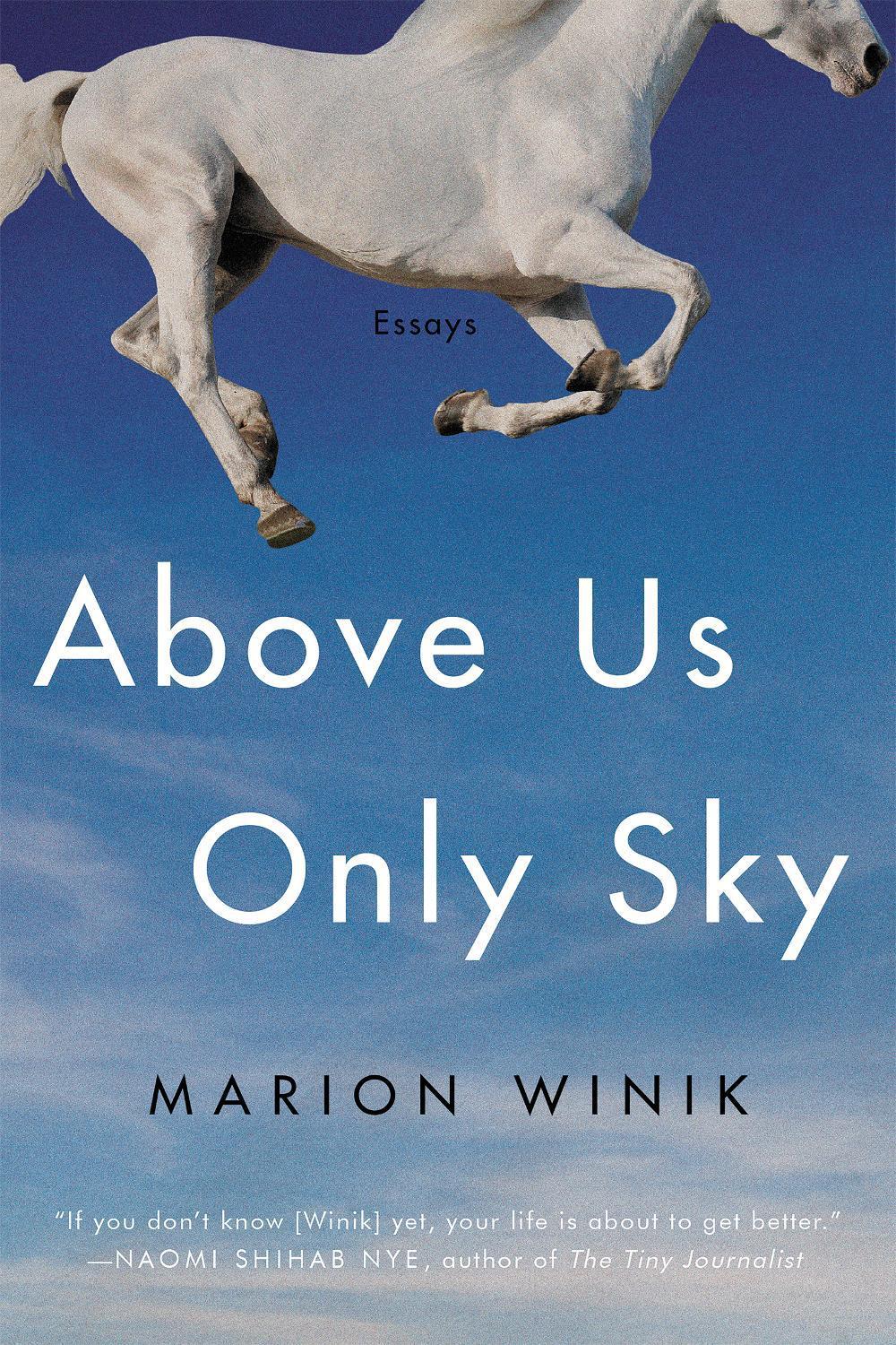Above Us Only Sky by Marion Winik - ISBN: 9781640093089