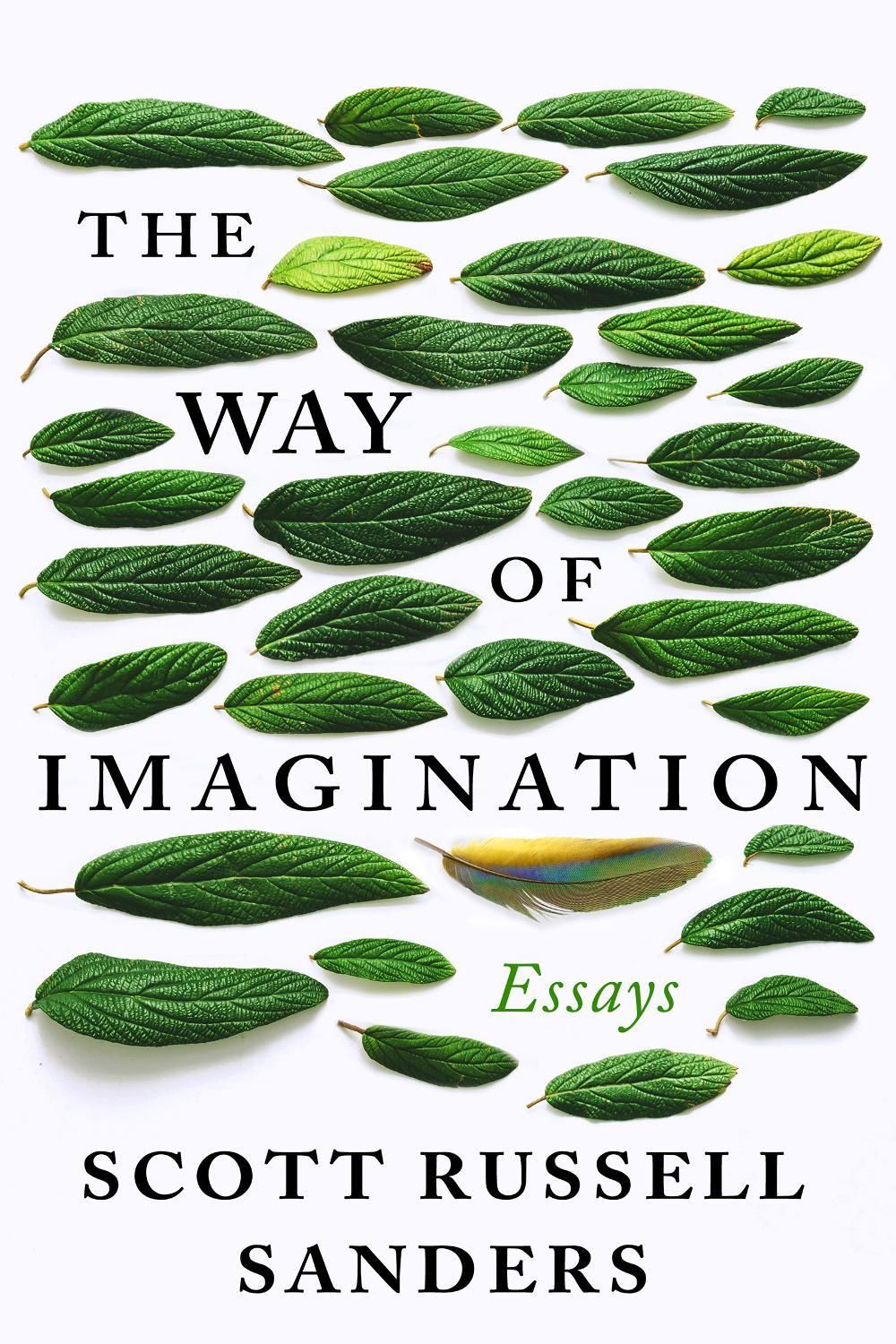 The Way of Imagination by Scott Russell Sanders - ISBN: 9781640093652