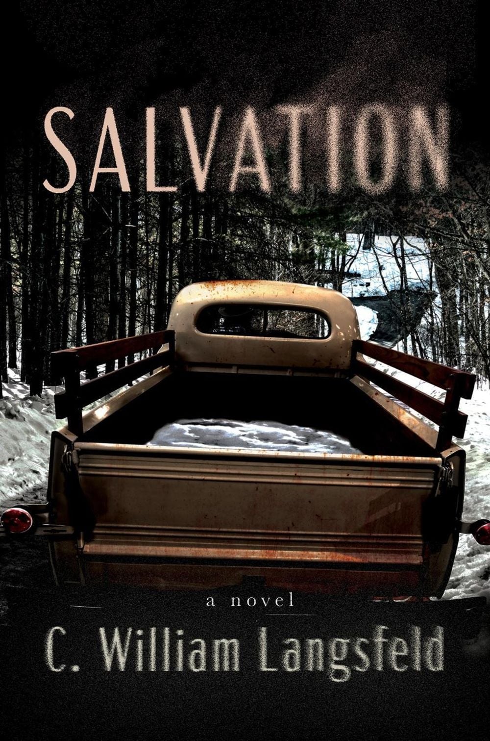 Salvation by C. William Langsfeld - ISBN: 9781640097230