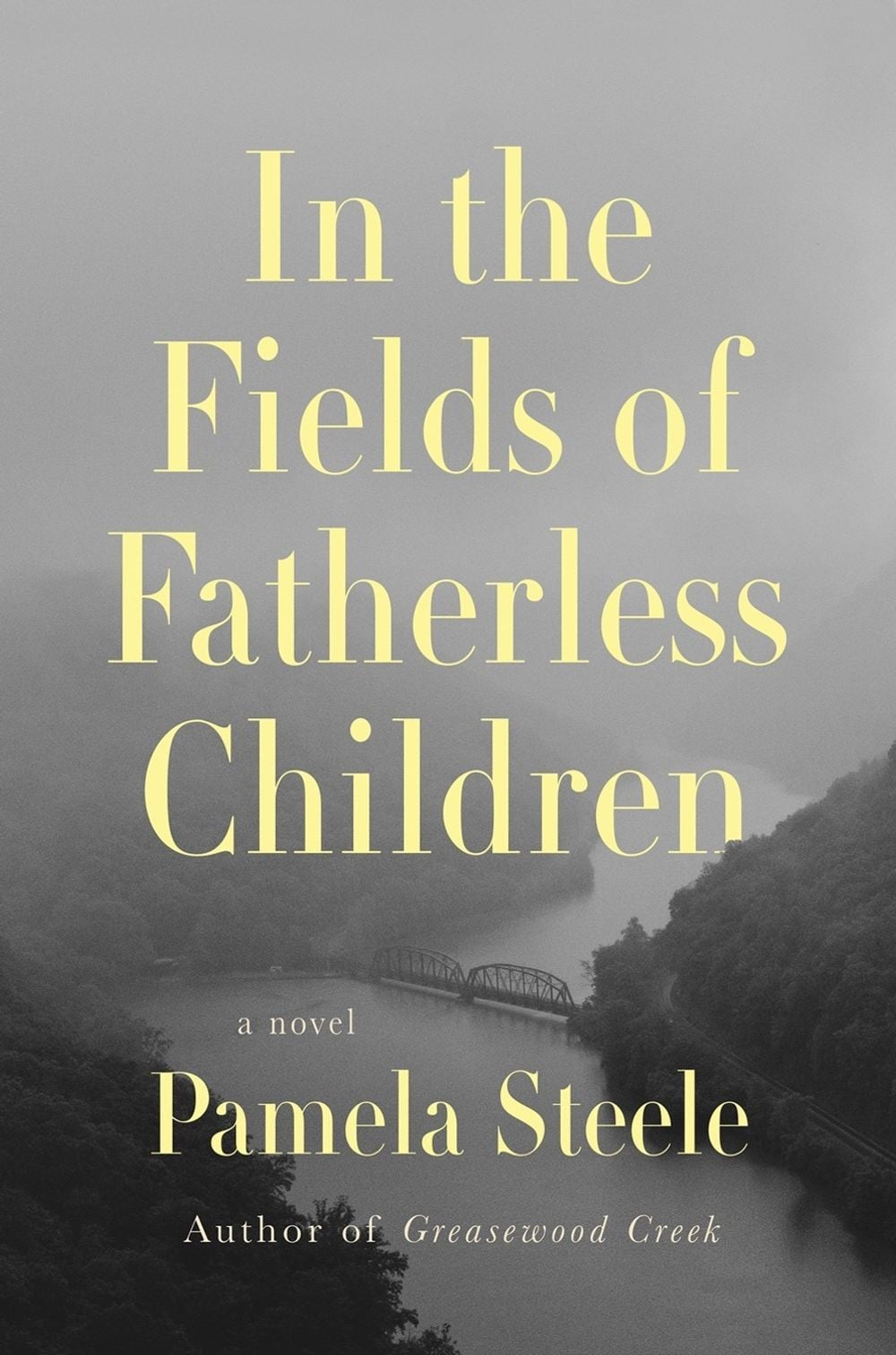 In The Fields of Fatherless Children by Pamela Steele - ISBN: 9781640097605