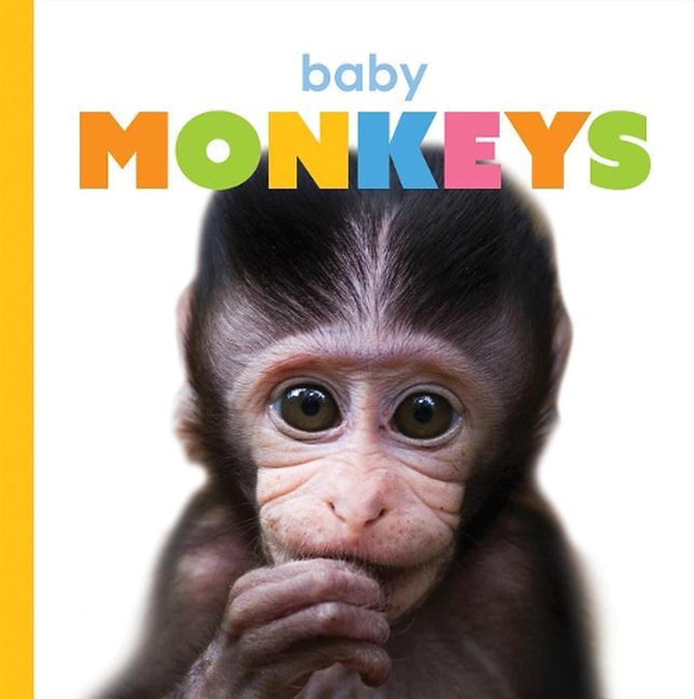 Baby Monkeys, 9781640260771