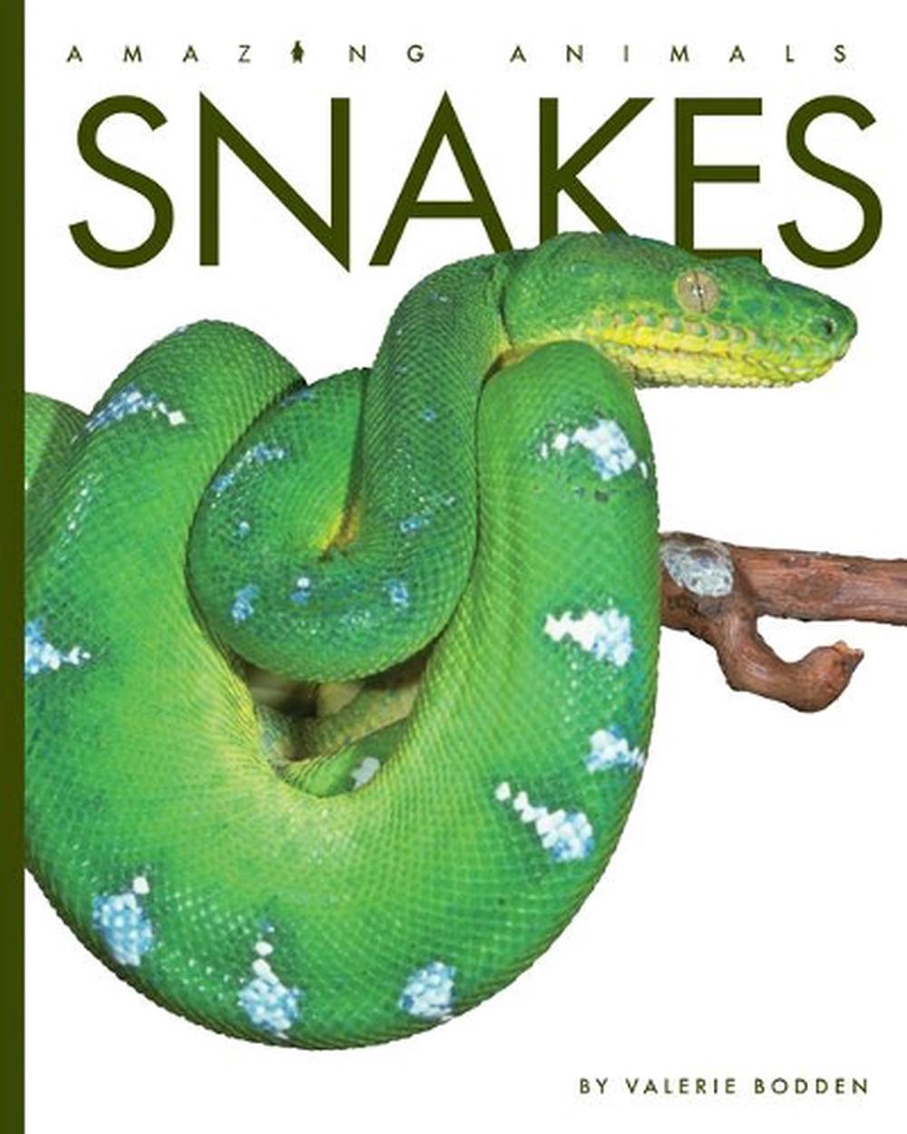 Snakes, 9781640262096