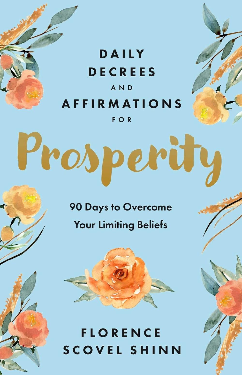 Daily Decrees and Affirmations for Prosperity by Florence Scovel Shinn - ISBN: 9781640955158