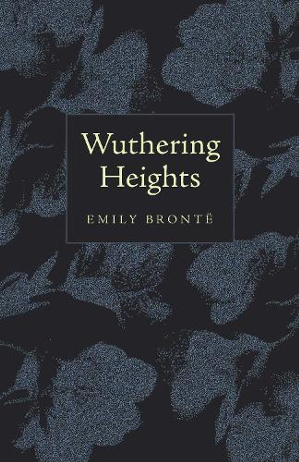 Wuthering Heights by Emily Brontë - ISBN: 9781640957725