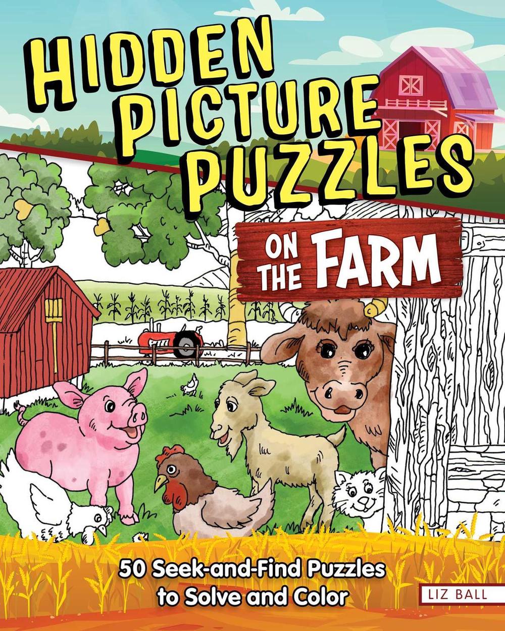 Hidden Picture Puzzles on the Farm by Liz Ball - ISBN: 9781641244183
