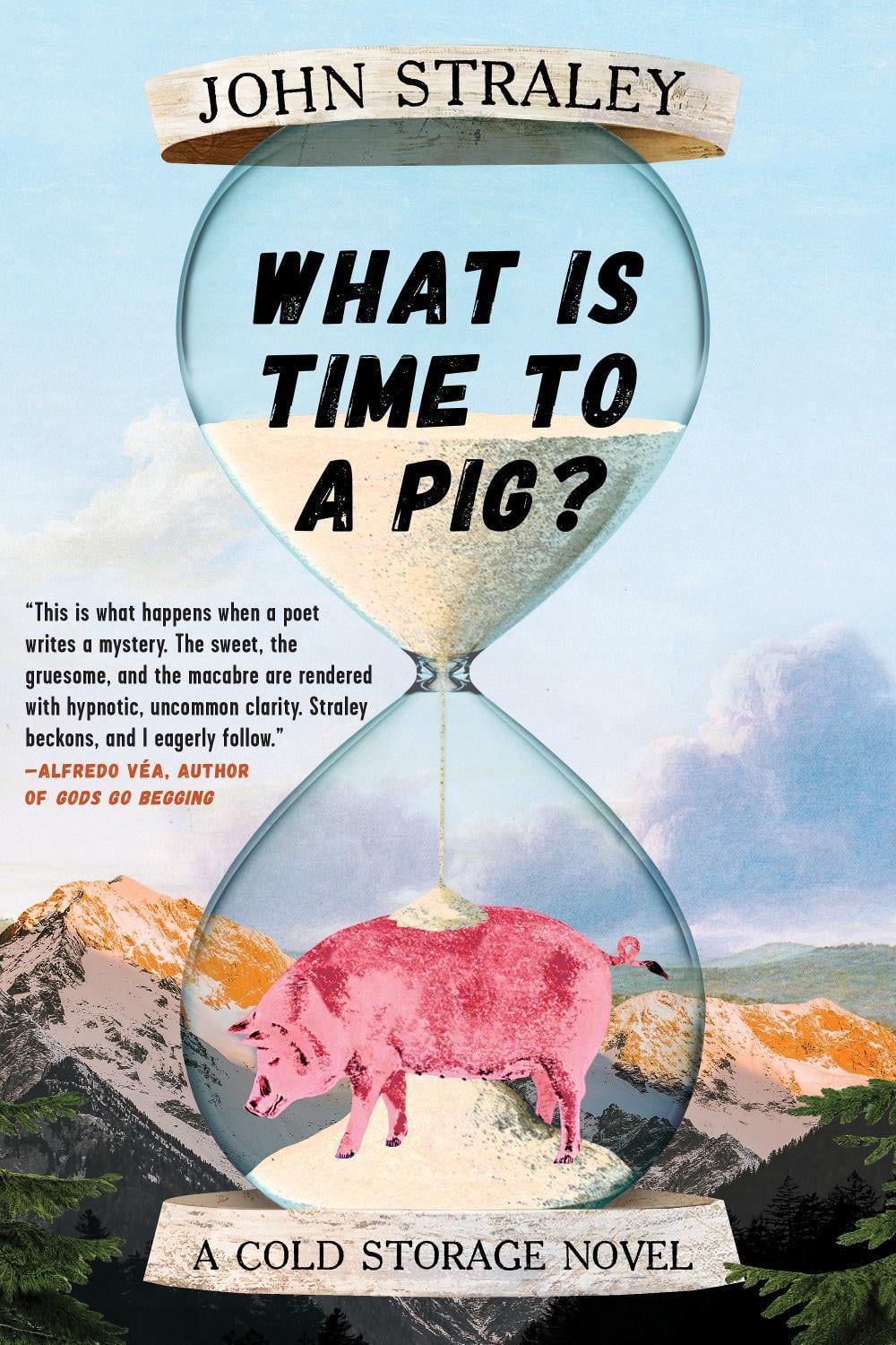 What Is Time to a Pig? by John Straley - ISBN: 9781641292146