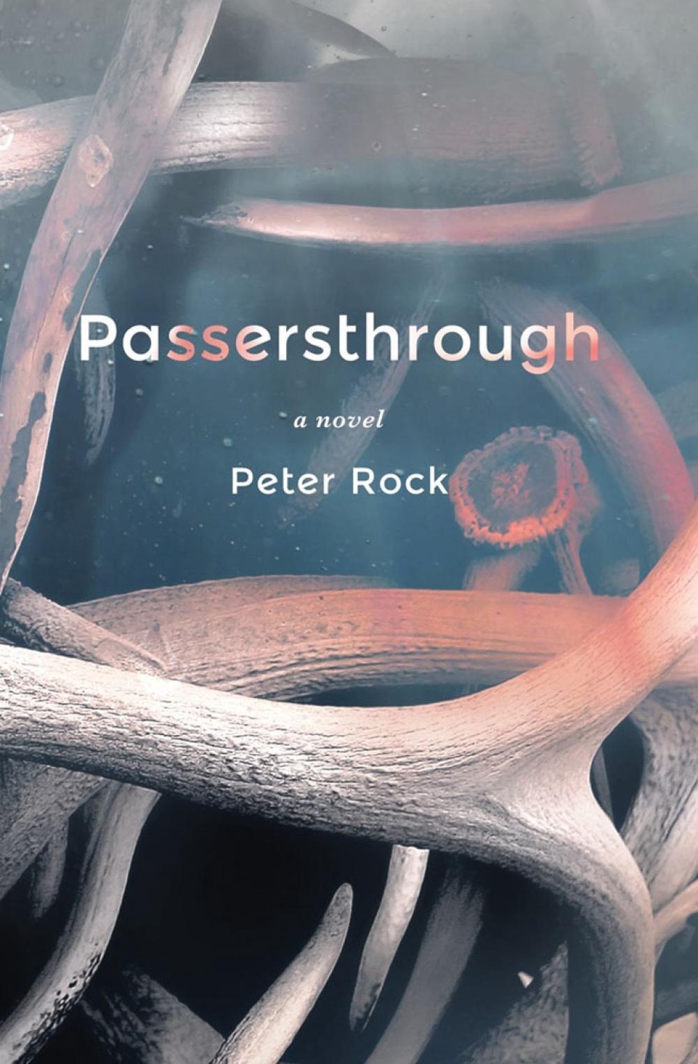 Passersthrough by Peter Rock - ISBN: 9781641294614